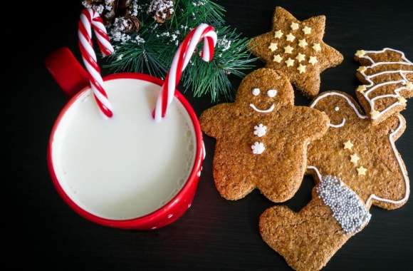 Christmas Cookies and Milk for Santa Claus