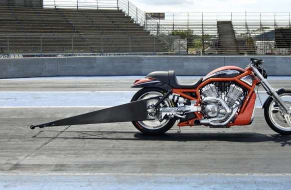 Harley Davidson Dragster 2
