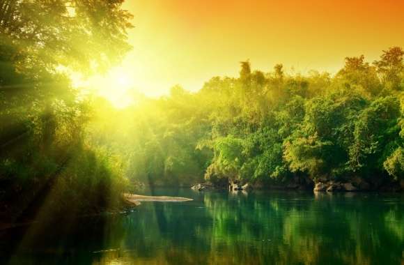 Lush Green Forest River At Sunrise