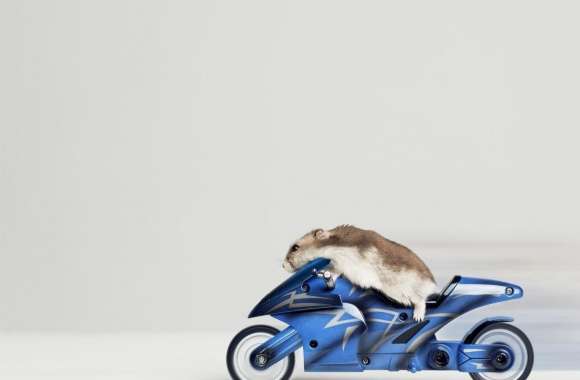 Mouse Riding Motorcycle