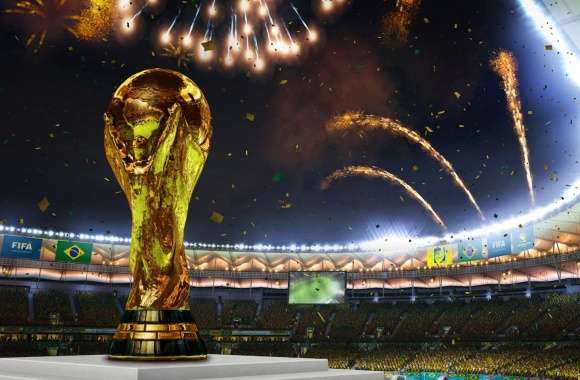 2014 20th FIFA World Cup