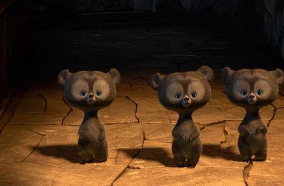 Brave Triplet Bear Cubs