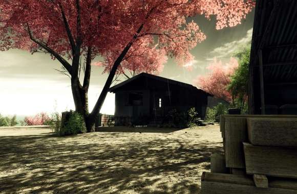 Crysis Screenshots Sakura