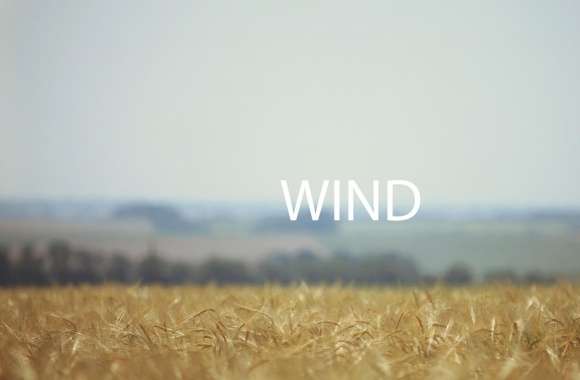 Field Wind