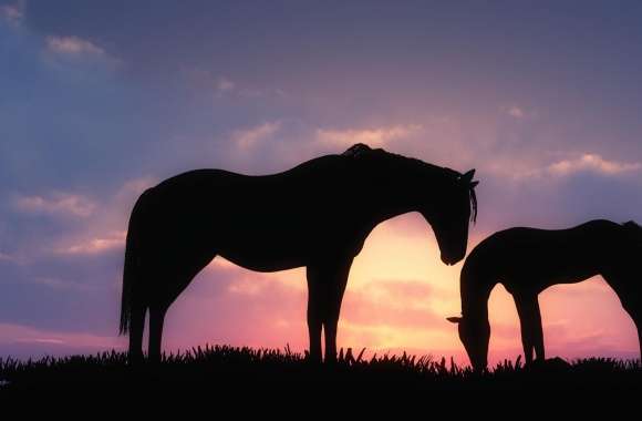 Horses Sunset Silhouette