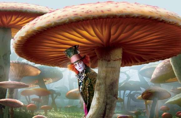 Mad Hatter, Alice In Wonderland