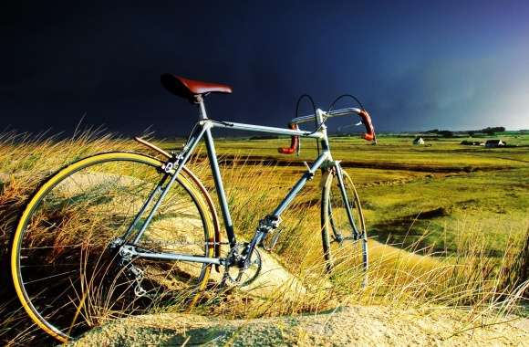 Vintage Bicycle in the Storm