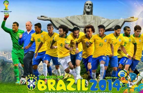 BRAZIL 2014