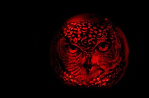 Owl Pumpkin Carving