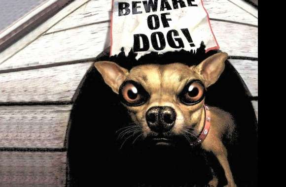 Funny beware of dog