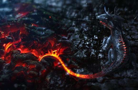 Lava little dragon