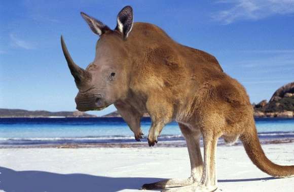 Weird kangaroo rhinoceros