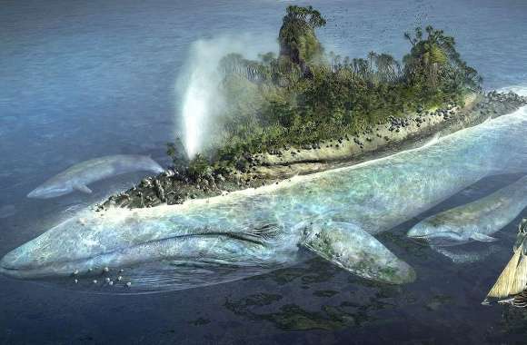 Whale island fantasy