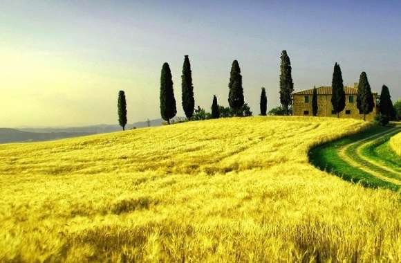 Amazing tuscan landscape