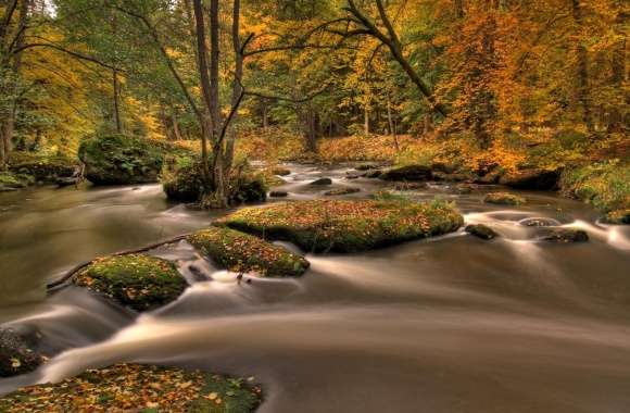 Forest River, Long Exposure