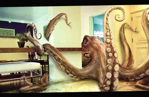 Funny octopus in living room