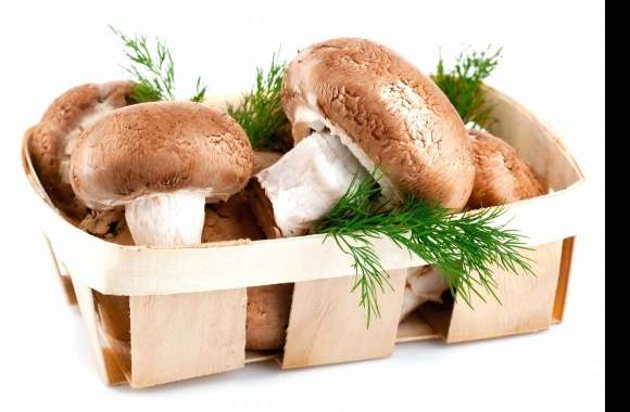 Little basket of mushrooms