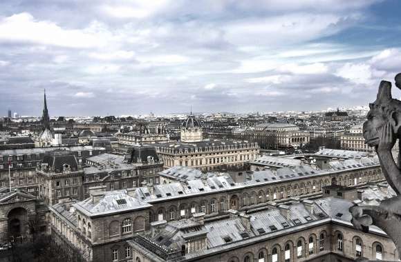 Paris landscape fron notre dame with gargoyl