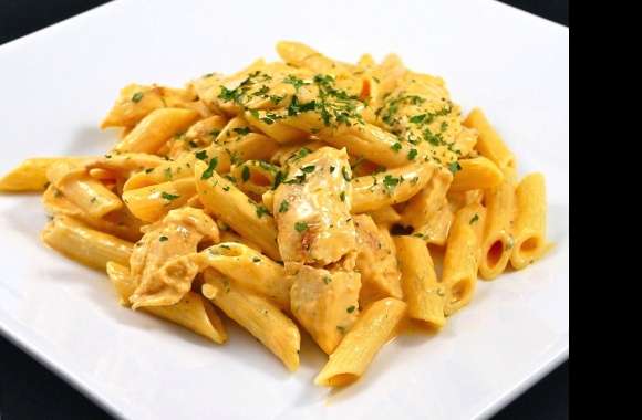 Penne pasta italy food