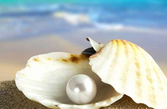 Shell and pearl