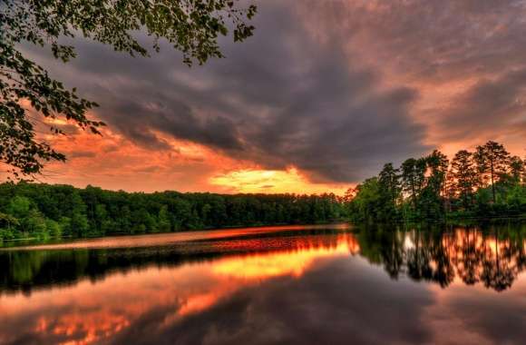 Sunset - River - Forest