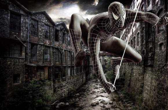 The Amazing Spider Man Artwork