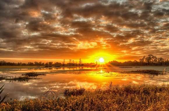 Yellow Field Sunset Pond
