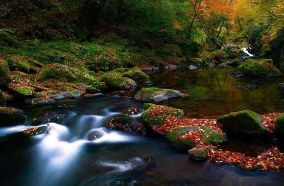 Autumn Forest River