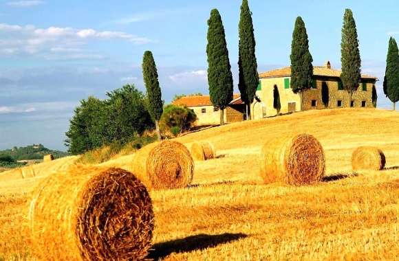 Bale of hay tuscan italy