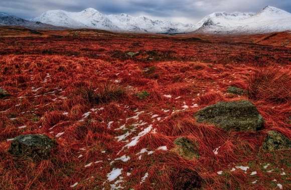 Red and White Mountain Landscape