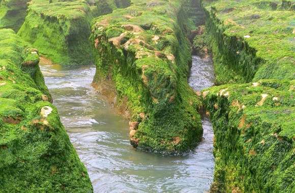 River flowing through the mossy cliffs