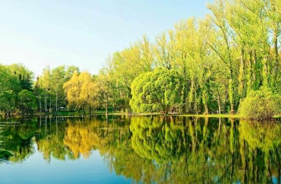 Trees Lake Reflection
