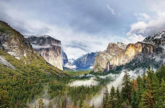 Yosemite National Park Forest Waterfall