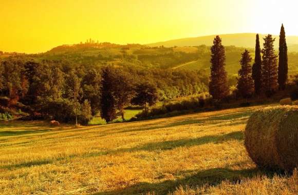 Tuscan italy landscape